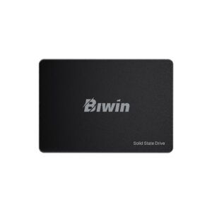 UNIDAD EN ESTADO SOLIDO BIWIN M100 2 TB
