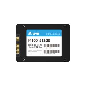 UNIDAD EN ESTADO SOLIDO BIWIN M100, 512GB